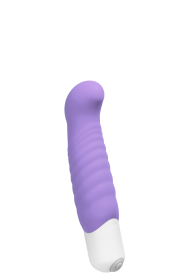 Inu Mini Vibe