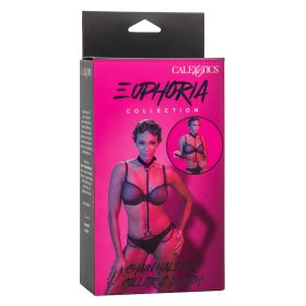 Euphoria Collection Chain Halter/collar and Leash